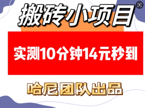 搬砖小项目，实测10分钟14元秒到，每天稳定几张(赠送必看稳定)-火柴小市场