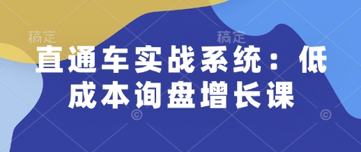 直通车实战系统：低成本询盘增长课，让个人通过技能实现升职加薪，让企业低成本获客，订单源源不断-火柴小市场
