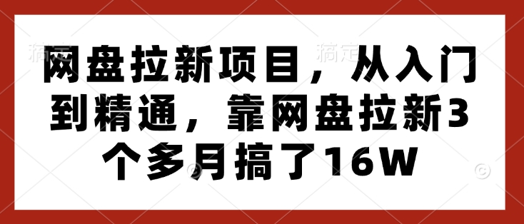 网盘拉新项目，从入门到精通，靠网盘拉新3个多月搞了16W-火柴小市场