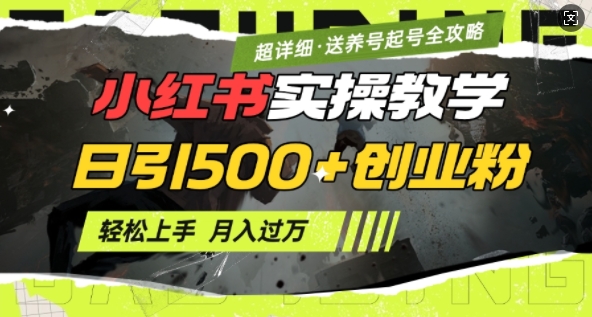 2月小红书最新日引500+创业粉实操教学【超详细】小白轻松上手，月入1W+，附小红书养号起号SOP-火柴小市场