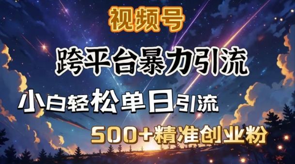 跨平台暴力引流，私域完美闭环，日引500+精准创业粉-火柴小市场