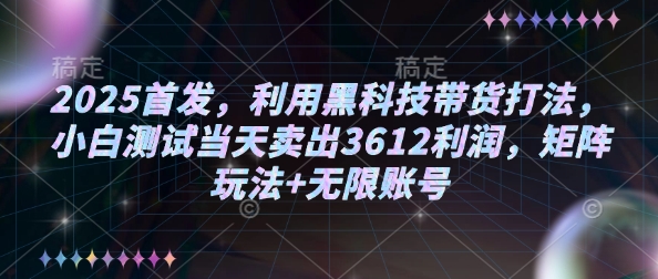 2025首发，利用黑科技带货打法，小白测试当天卖出3612利润，矩阵玩法+无限账号【揭秘】-火柴小市场