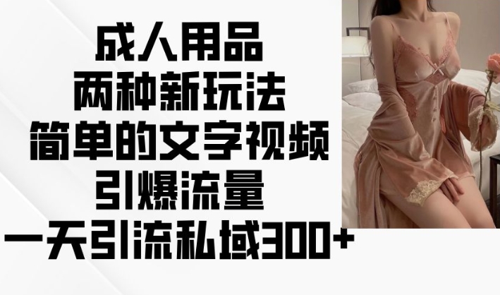 成人用品两种新玩法，简单的文字视频引爆流量，一天引流私域300+-火柴小市场