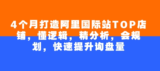 4个月打造阿里国际站TOP店铺，懂逻辑，精分析，会规划，快速提升询盘量-火柴小市场