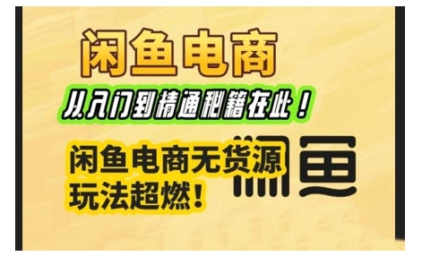 闲鱼电商实战课，从入门到精通秘籍在此，闲鱼电商无货源玩法超燃!-火柴小市场