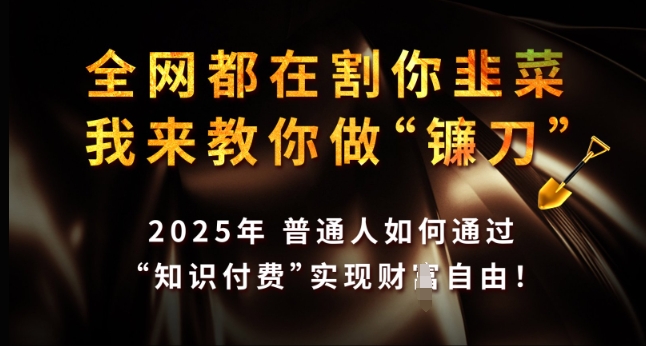 全网都在割你韭菜，我来教你做镰刀，2025年普通人如何通过 知识付费 实现财F自由【揭秘】-火柴小市场