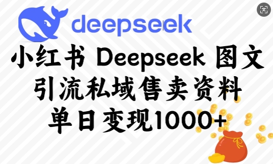 小红书Deepseek图文引流私域售卖资料，单日变现多张-火柴小市场
