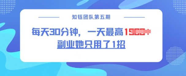 副业她只用了1招，每天30分钟，无脑二创，一天最高1.5k-火柴小市场
