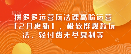 拼多多运营玩法课高阶运营【2月更新】，极致群爆款玩法，轻付费无尽复制等-火柴小市场