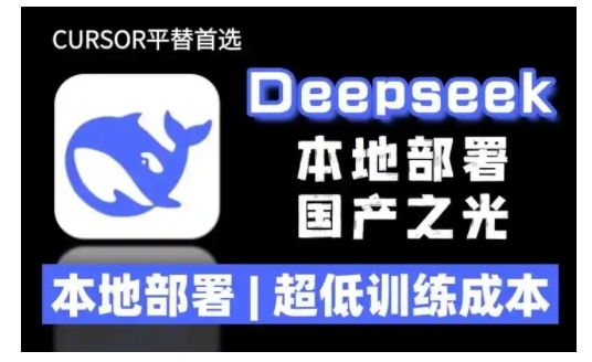 2025年deepseek R1 大型模型本地安装部署(文件+教程)本地部署，超低训练成本-火柴小市场