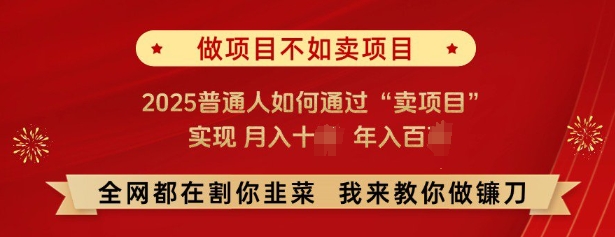 必看，做项目不如卖项目，2025普通人如何通过“卖项目”实现月入十个，年入百个-火柴小市场