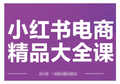 小红书电商精品大全课，快速掌握小红书运营技巧，实现精准引流与爆单目标，轻松玩转小红书电商-火柴小市场