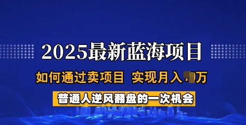 2025蓝海项目，普通人如何通过卖项目，实现月入过W，全过程【揭秘】-火柴小市场
