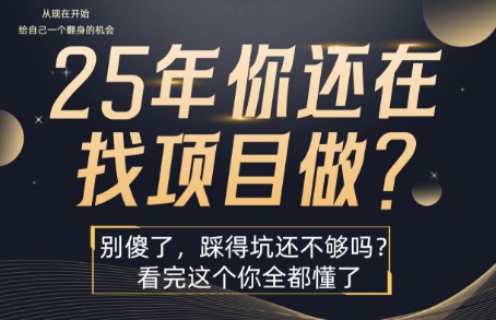 25年，你还在疯狂的找项目吗？别傻了，看完这个你都懂了【揭秘】-火柴小市场