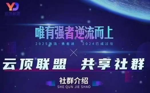 云顶联盟·无人直播实战(更新7月)，最新无人玩法和半无人玩法分享-火柴小市场