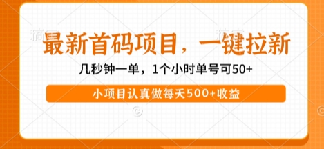 最新首码项目，操作最简单，收益高，一键拉新，1个小时单号可50+，小项目认真做每天5张+收益【揭秘】-火柴小市场