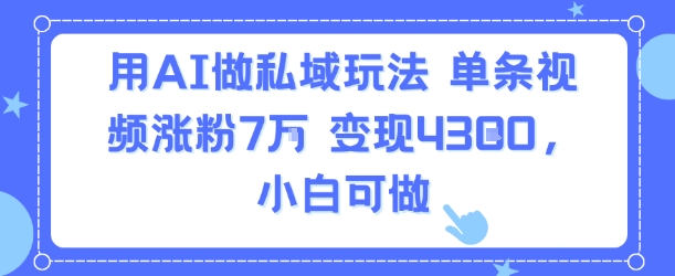 用AI做私域玩法，单条视频涨粉7W变现4.3k，小白可做-火柴小市场