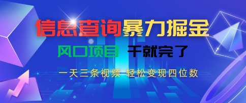 信息查询暴力掘金，一天三条视频，轻松变现四位数，风口项目干就完了【揭秘】-火柴小市场