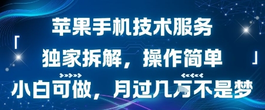 苹果手机技术服务，独家拆解，操作简单，小白可做，月过1W不是梦-火柴小市场