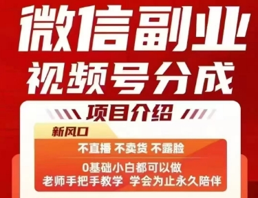 微信副业视频号分成，不直播 不卖货 不露脸，三五分钟即可完成一条作，每日收益几十、几张不等-火柴小市场