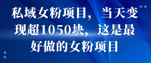 私域女粉项目，当天变现超1k，这是最好做的女粉项目，可放大操作-火柴小市场