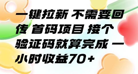 一键拉新 不需要回传 首码项目 接个验证码就算完成 一小时收益70+【揭秘】-火柴小市场