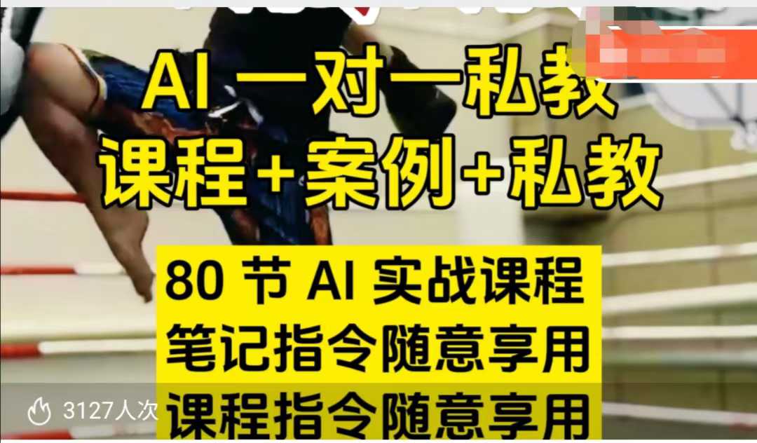 AI指令实战课，课程+案例，80节AI实战课程，笔记指令随意享用，课程指令随意享用（更新7月）-火柴小市场