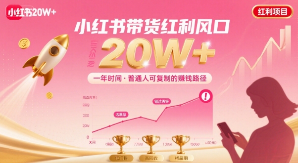 一年时间靠小红书带货项目年入20w+，最不能错的大红利项目-火柴小市场