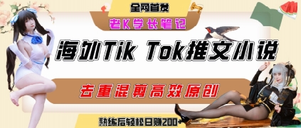 海外tiktok小说推文暴力项目，高停留率，高转化率，上手后一天搞顿饭钱不是问题-火柴小市场