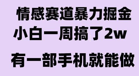 情感暴力掘金项目，新人操作一周挣了2W，长期稳定小白可做【揭秘】-火柴小市场