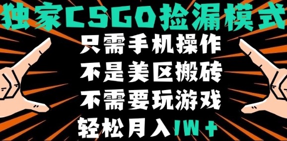 CSGO自动捡漏项目，最新独家玩法，不是美区搬砖，不需要了解和玩游戏，新手小白轻松月入1W+【揭秘】-火柴小市场