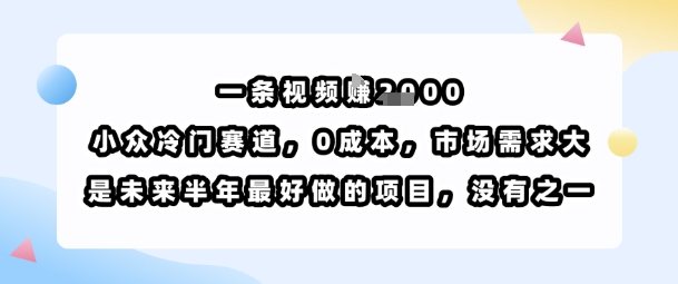 一条视频挣1k，小众冷门赛道，0成本，市场需求大，是未来半年最好做的项目，没有之一-火柴小市场