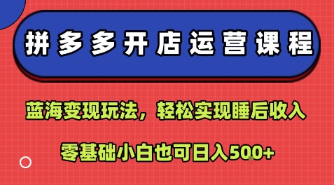 拼多多开店运营课程：蓝海变现玩法，轻松实现睡后收入，零基础小白也可日入5张-火柴小市场