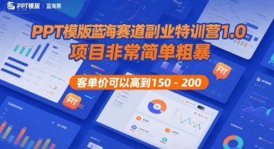 PPT模版蓝海赛道副业特训营1.0，项目非常简单粗暴，客单价可以高到150-200-火柴小市场