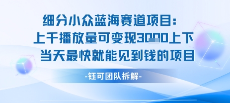 小众蓝海赛道项目：当天变现1k+适合新手操作 +适合长期玩-火柴小市场