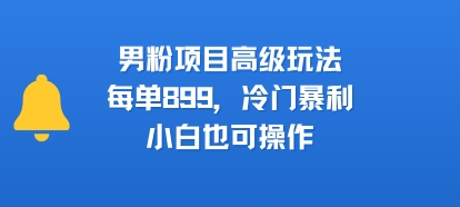 男粉项目高级玩法，每单899，冷门暴利，小白也可操作-火柴小市场