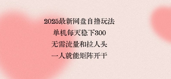 2025最新网盘自撸玩法，单机每天稳下3张，无需流量和拉人头，一个人就可轻松矩阵，全网独一份【揭秘】-火柴小市场