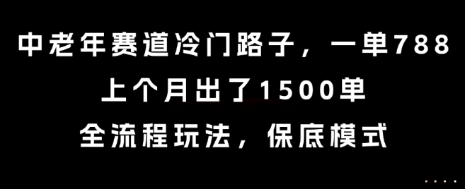 中老年赛道冷门路子，一单788，上个月出了1500单，全流程玩法，保底模式【揭秘】-火柴小市场