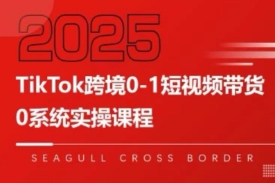 TikTok跨境0-1短视频带货，系统拆解TikTok跨境带货全链路，实现跨境可持续盈利-火柴小市场