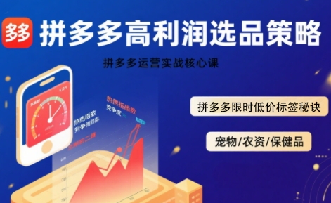拼多多选品暴利技术实战课，拼多多高利润选品策略，拼多多限时低价标签秘诀-火柴小市场