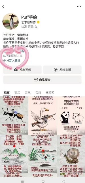 Puff手绘视频号分成项目，三天过分成计划，简单易上手，适合新手-火柴小市场