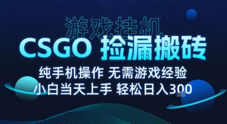 8月最新游戏搬砖，CSGO纯挂G，不需要玩游戏，实现真挂G，月入1W+【揭秘】-火柴小市场