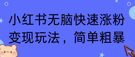 小红书无脑快速涨粉变现玩法，简单粗暴-火柴小市场